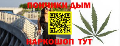 индика Усть-Илимск