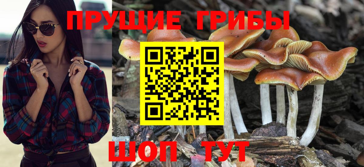 Грязи  Псилоцибиновые грибы ЛСД  хочу наркоту  Вход с VPN 
